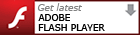 Download Adobe Flash Player